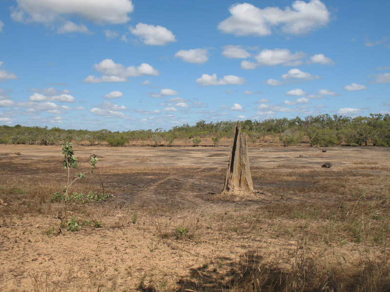 Lakefield National Park - Walkabout